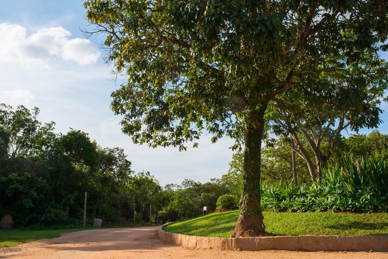 imagens_2952015831441