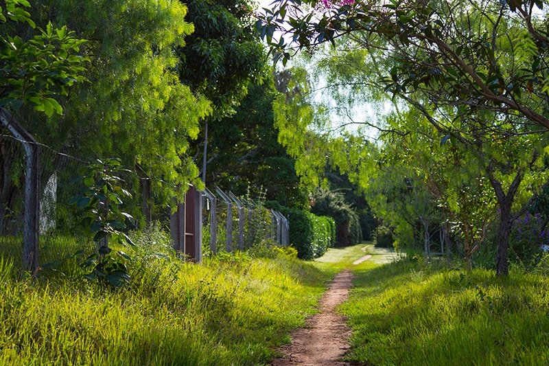 imagens_2952015832361