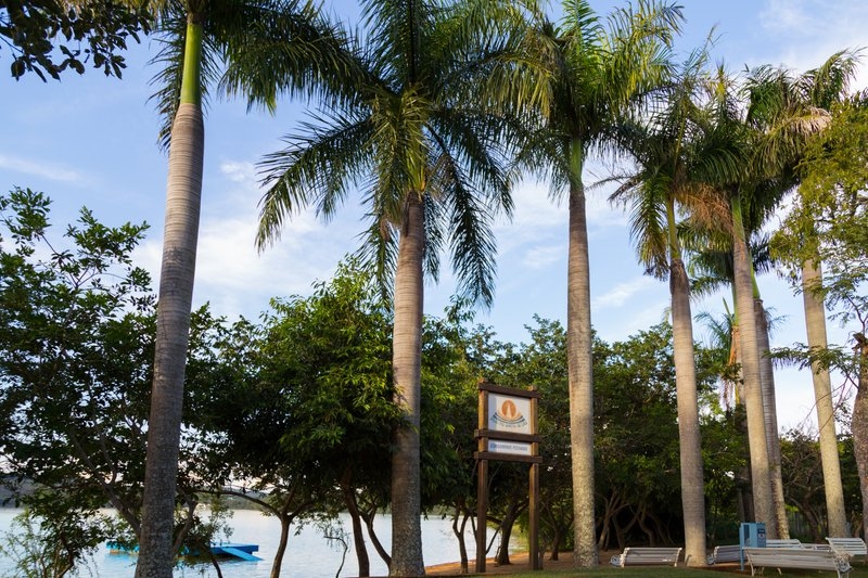 imagens_2952015832431