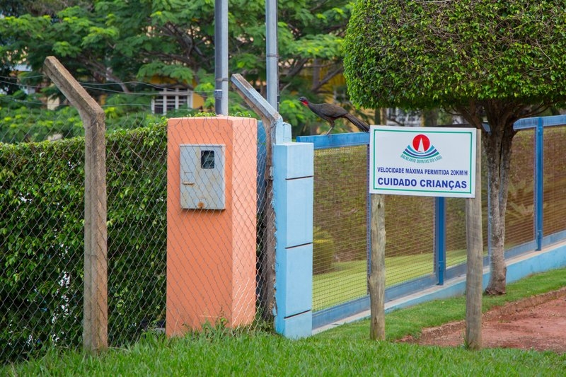 imagens_2952015833191