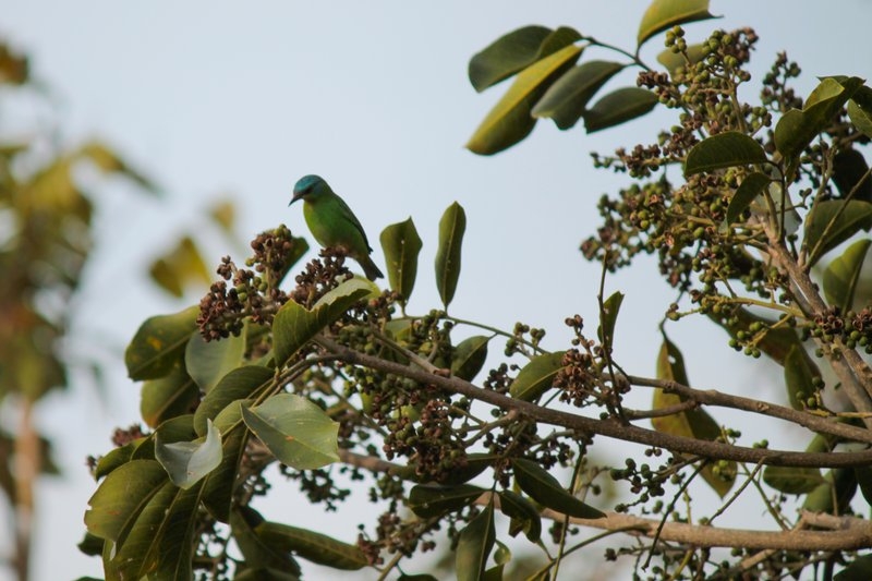 imagens_2952015833331