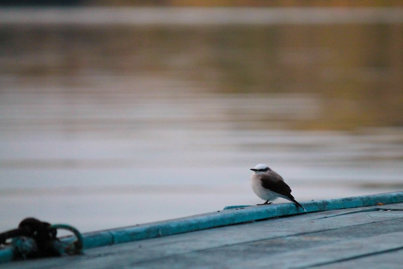 imagens_2952015833381