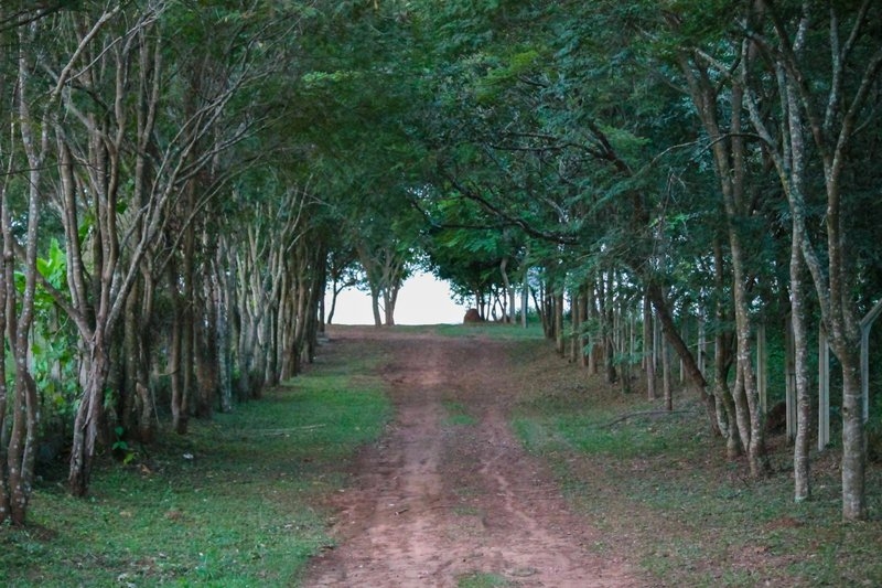 imagens_2952015833421