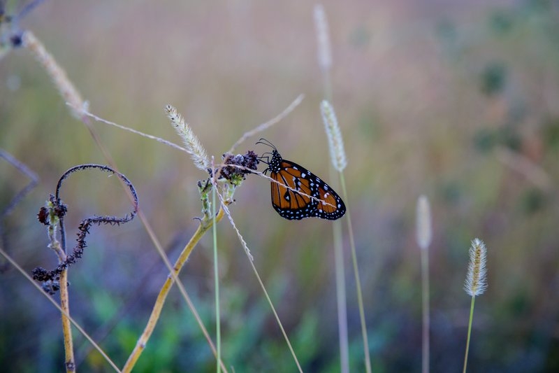 imagens_2952015833441